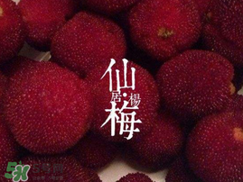 仙居楊梅多少錢一斤？仙居楊梅多少錢一斤2017？