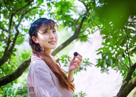 仙居楊梅在哪里？仙居楊梅哪里最好？