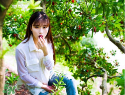 仙居楊梅在哪里？仙居楊梅哪里最好？