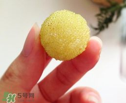 白楊梅多少錢一斤？白楊梅產(chǎn)地