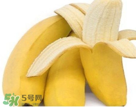 皇帝蕉多少錢一斤？2017皇帝蕉價(jià)格