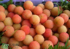 白楊梅可以泡酒嗎？白楊梅泡酒有什么功效？