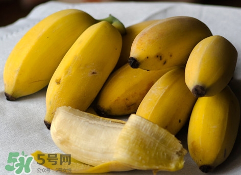 皇帝蕉是不是香蕉？皇帝蕉與普通香蕉區(qū)別