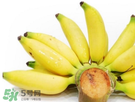 皇帝蕉是轉(zhuǎn)基因的嗎？皇帝蕉產(chǎn)地是哪里？