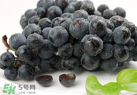 無籽葡萄有哪些品種？無籽葡萄多少錢一斤？