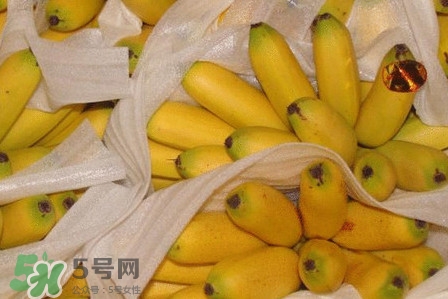 皇帝蕉是不是香蕉？皇帝蕉與普通香蕉區(qū)別