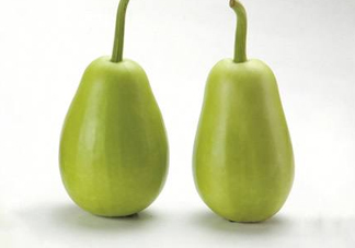 苦瓠子有毒嗎？苦瓠子中毒怎么辦？