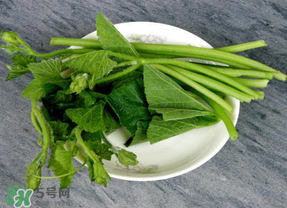 南瓜葉怎么處理？南瓜葉怎么炒？