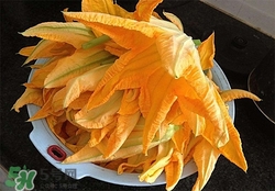 南瓜花有什么作用？南瓜花的作用及禁忌