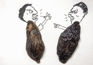 口味王檳榔是什么東西？口味王檳榔怎么吃
