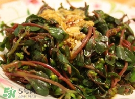 螞蚱菜怎么炒好吃？螞蚱菜做法有哪幾種