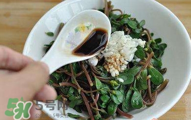 螞蚱菜對人體有哪些好處？螞蚱菜不能和什么一起吃