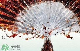 運(yùn)動(dòng)后可以喝可樂(lè)嗎？運(yùn)動(dòng)后喝可樂(lè)會(huì)胖嗎？