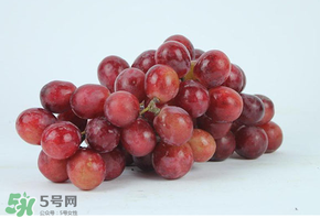 紅提多少錢一斤？紅提子多少錢一斤？