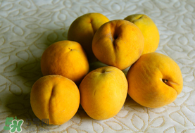 黃桃一天可以吃幾個(gè)？黃桃能多吃嗎？