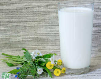 脫脂奶粉哪個(gè)牌子好？脫脂奶粉什么品牌的好？