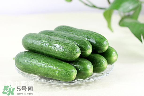 水果黃瓜常溫能放多久？水果黃瓜怎么保存？