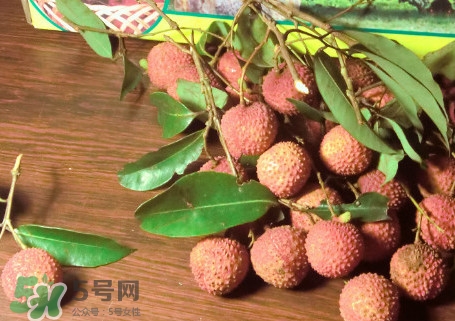 掛綠荔枝什么時候上市？掛綠荔枝什么時候成熟