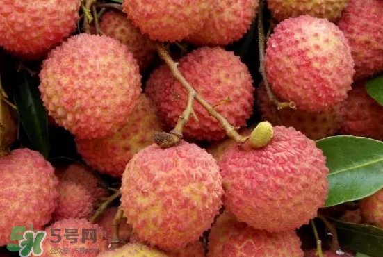 掛綠荔枝什么時候上市？掛綠荔枝什么時候成熟