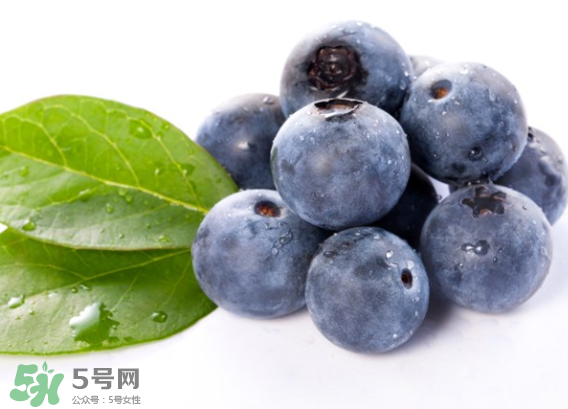 藍(lán)莓是什么顏色？藍(lán)莓泡水什么顏色？