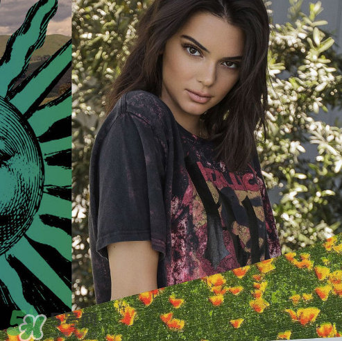 kendall kylie2017復(fù)古系列短袖t恤怎么樣_好看嗎_款式有哪些？