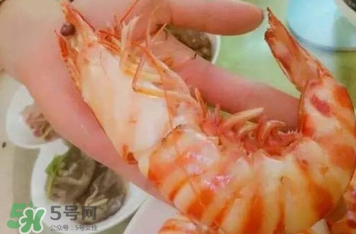 九節(jié)蝦是海蝦嗎？九節(jié)蝦是海蝦還是河蝦