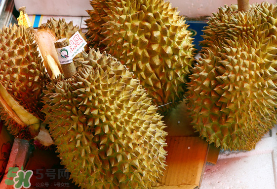 托曼尼榴蓮怎么才是熟？托曼尼榴蓮怎么看生熟？
