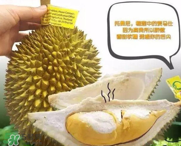 托曼尼榴蓮又叫什么？托曼尼榴蓮簡介