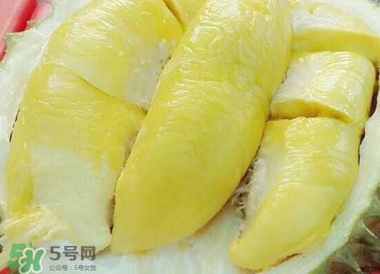托曼尼榴蓮多大？托曼尼榴蓮好吃嗎？