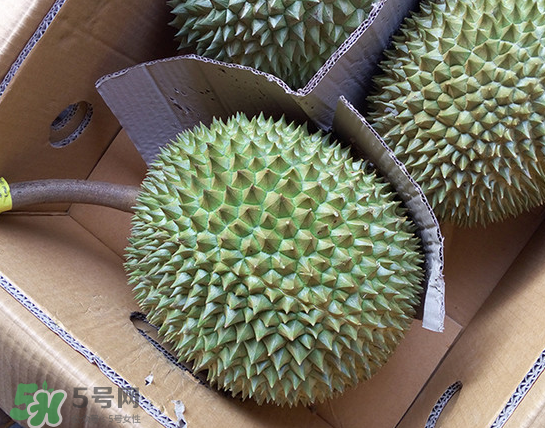 干堯榴蓮怎么樣算熟了？干堯榴蓮怎么挑選？