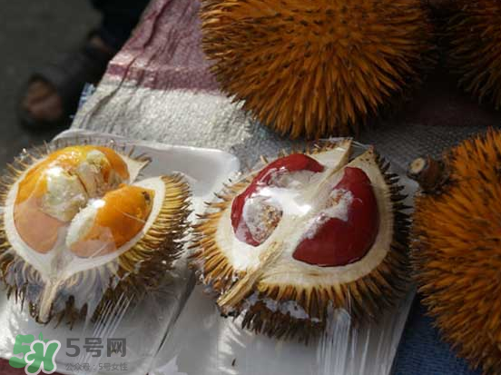 榴蓮核可以煲湯嗎？榴蓮核可以煲雞湯嗎？