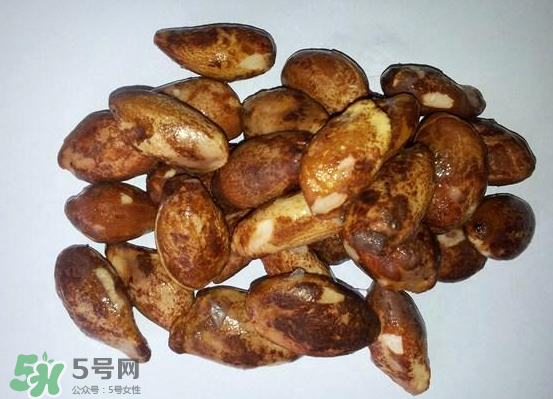 榴蓮核可以煲湯嗎？榴蓮核可以煲雞湯嗎？