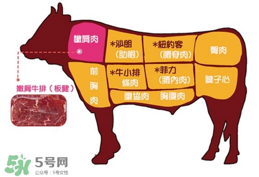 牛排是牛的哪個(gè)部位？牛排是牛身上哪塊肉？