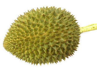 托曼尼榴蓮多少錢？托曼尼榴蓮是哪里的？