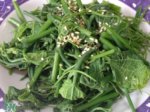 龍須菜怎么清洗？龍須菜怎么處理？