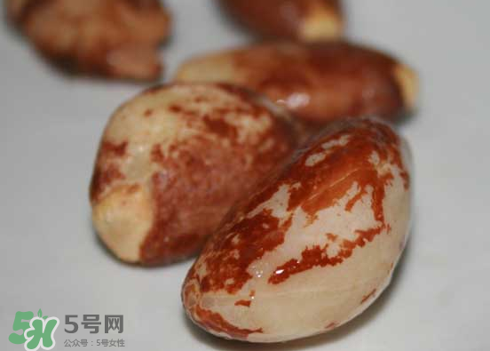 榴蓮核可以煲湯嗎？榴蓮核可以煲雞湯嗎？