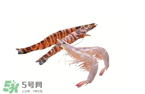 如何區(qū)分基圍蝦和竹節(jié)蝦？竹節(jié)蝦和基圍蝦的區(qū)別