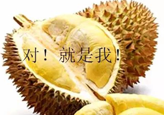 多大的小孩可以開始吃榴蓮？寶寶多大可以吃榴蓮？