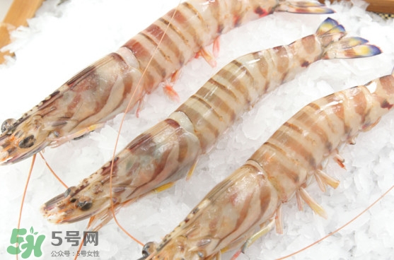 竹節(jié)蝦是海里的嗎？竹節(jié)蝦是海蝦還是河蝦