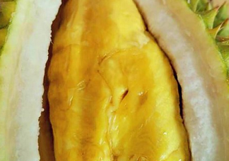 甲倫榴蓮幾月份成熟？泰國(guó)甲倫榴蓮多少錢一個(gè)？
