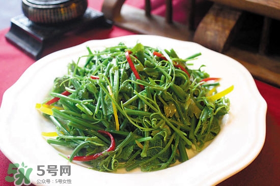 龍須菜是什么菜？龍須菜怎么吃？
