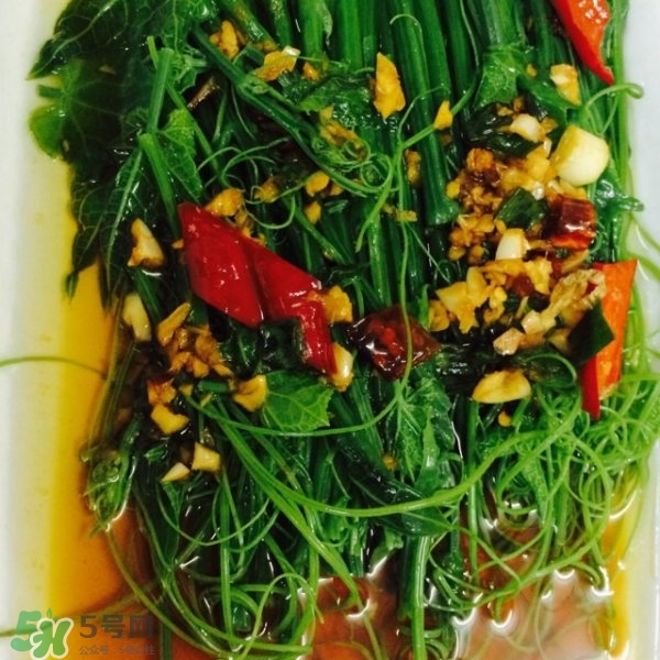 龍須菜怎么清洗？龍須菜怎么處理？