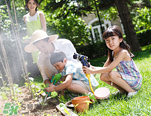 八月份可以種什么菜？八月份適合種植的蔬菜