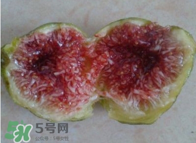 無花果是水果嗎？無花果是什么季節(jié)的水果