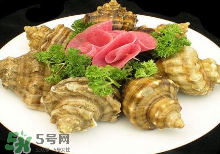 海螺可以冷凍嗎？海螺放冰箱能保存多久