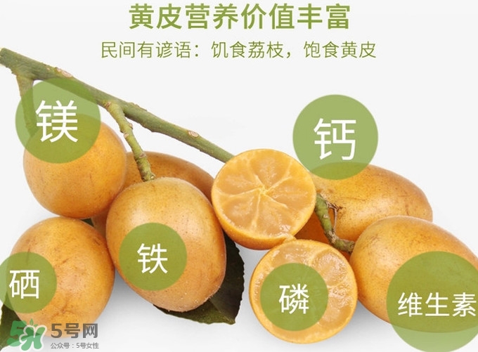 黃皮果是小金橘嗎？黃皮果和小金橘的區(qū)別