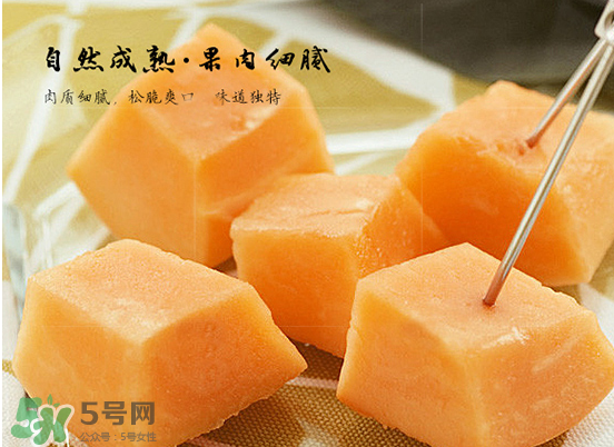 西州蜜瓜什么季節(jié)熟？西州蜜瓜幾月份成熟？