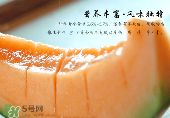 西州蜜瓜什么季節(jié)熟？西州蜜瓜幾月份成熟？