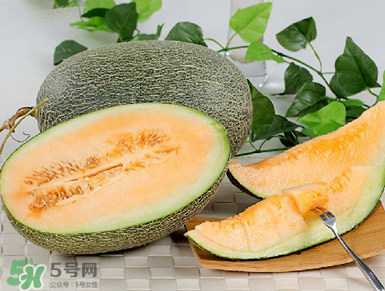 西州蜜瓜什么季節(jié)熟？西州蜜瓜幾月份成熟？
