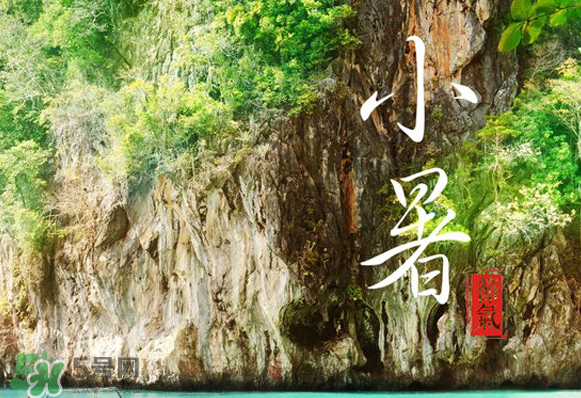 小暑是入伏嗎？小暑是不是入伏？